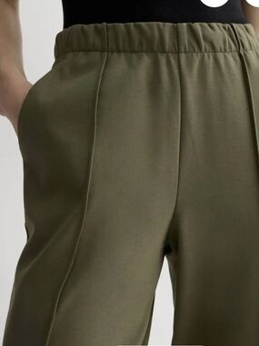 Everlane Olive Green Pleated Front Seam Dream Pants